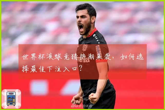 世界杯滚球竞猜热潮来袭，如何选择最佳下注入口？