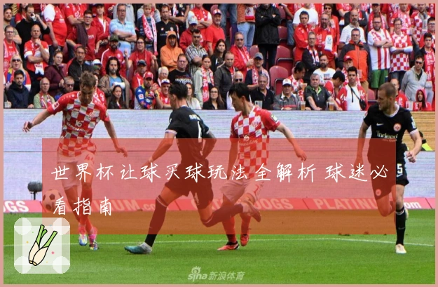世界杯让球买球玩法全解析 球迷必看指南